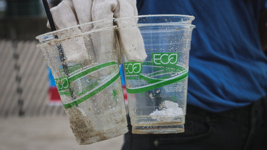 Wie erkennt man Greenwashing?