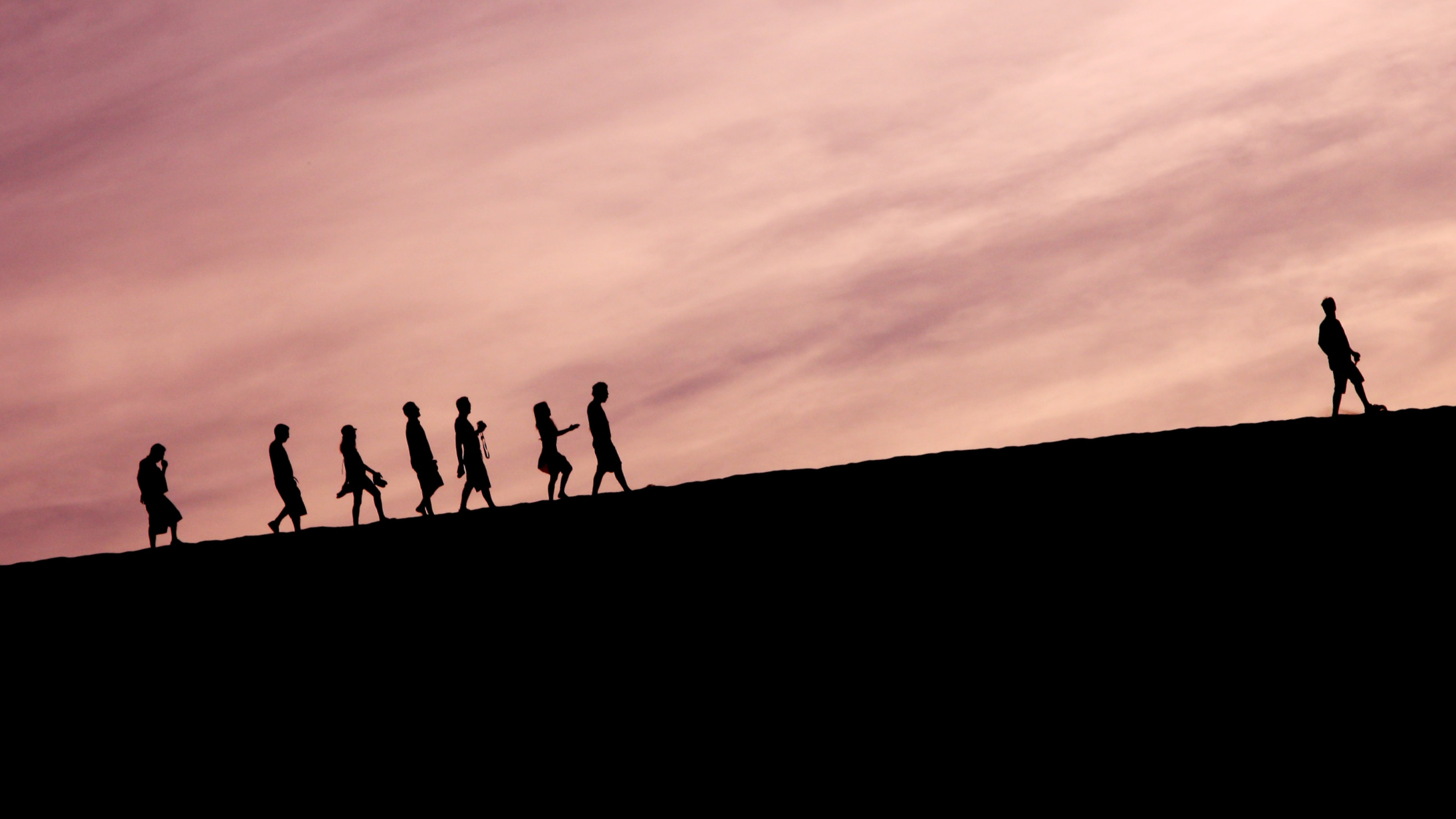 New Leadership Wie geht richtig gute Führung? STRIVE Magazine