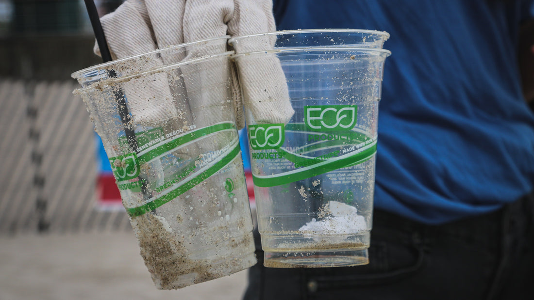 Wie erkennt man Greenwashing?
