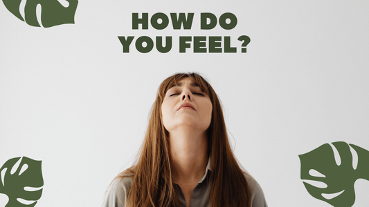 Female Rage ist eine kollektive Erfahrung des Nicht-Ernstgenommen-Werdens