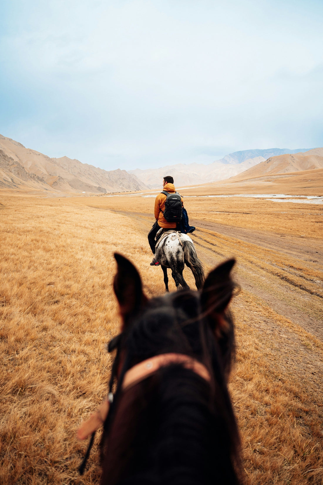 Auszeit ohne Karriere-Knick